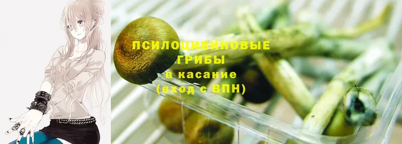 Псилоцибиновые грибы MAGIC MUSHROOMS  как найти   Верхоянск 